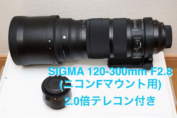 SIGMA 120-300mm F2.8 (ニコンFマウント用) DG OS HSM Sports2.0倍テレコンセット