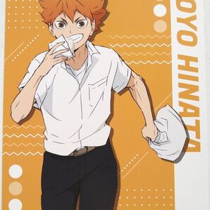 アニメイト ハイキュー!! TO THE TOP フェア お昼休み ポストカード 日向翔陽