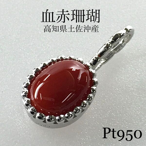 Pt950 血赤珊瑚 ミル打ちシンプル ペンダント0.72ct