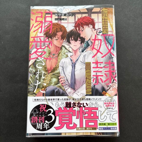 転生先で奴隷を買ったら溺愛された (&arche NOVELS) あやまみりぃ/〔著〕