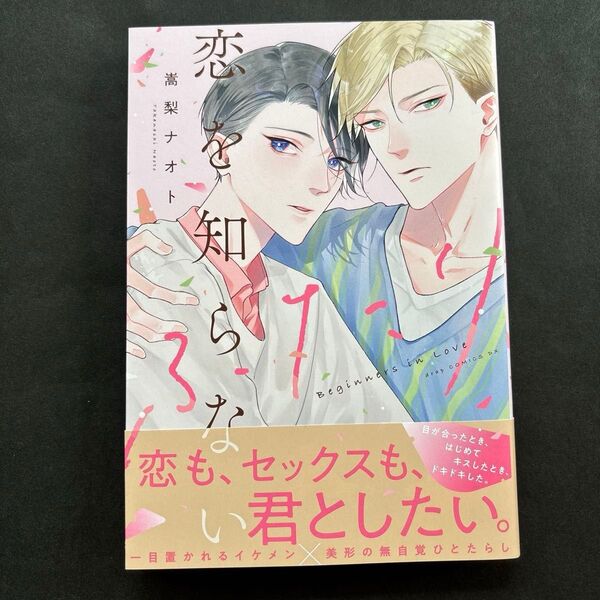恋を知らないふたり 嵩梨ナオト