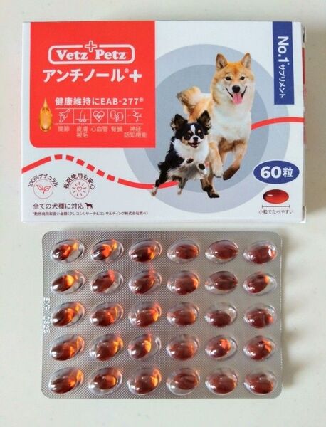 アンチノール プラス 30粒 犬用 栄養補助 サプリメント