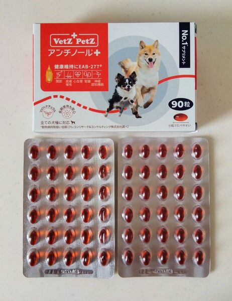 アンチノールプラス 60粒 犬用 栄養補助 サプリメント