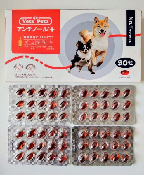 アンチノール プラス 60粒 犬用 栄養補助 サプリメント