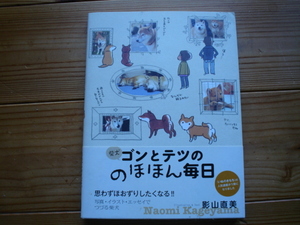 ☆彡柴犬ゴンとテツののほほん毎日　影山直美