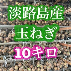 甘くてやわらかい【淡路島産】玉ねぎ 10kg