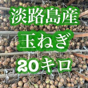 甘くてやわらかい【淡路島産】玉ねぎ 20kg