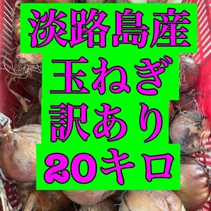 淡路島産 玉ねぎ 訳あり 20kg