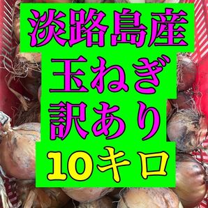 淡路島産 玉ねぎ 訳あり 10kg