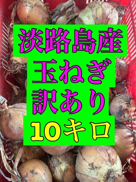 淡路島産 玉ねぎ 訳あり 10kg