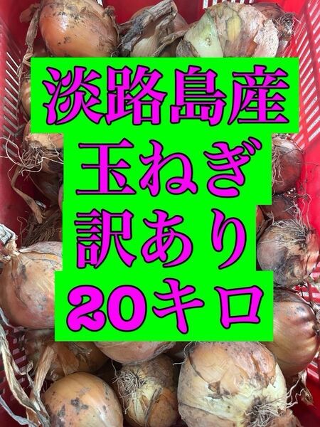 淡路島産 玉ねぎ 訳あり 20kg