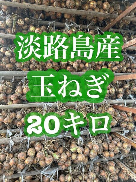 甘くてやわらかい【淡路島産】玉ねぎ 20kg