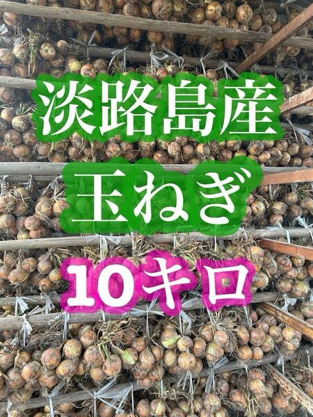 甘くてやわらかい【淡路島産】玉ねぎ 10kg