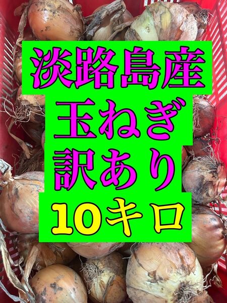 淡路島産 玉ねぎ 訳あり 10kg