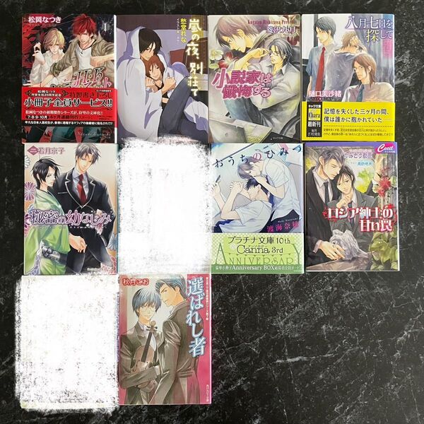 BL小説 ☆選べる2冊セット☆★2冊で580円★