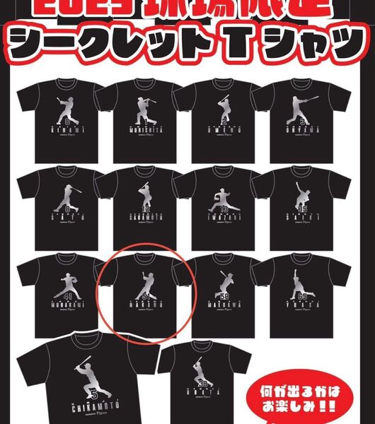 阪神タイガース シークレットTシャツ 中野選手の打撃フォーム& 甲子園球場限定 サインボールキーホルダーのセット