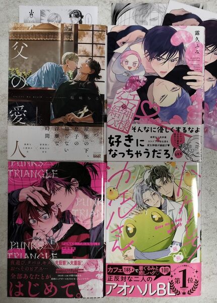 父の愛人 エロ神様のえろ結び PUNKS△TRIANGLE ハグして!カエルさん アニメイト 小冊子 リーフレット ペーパー