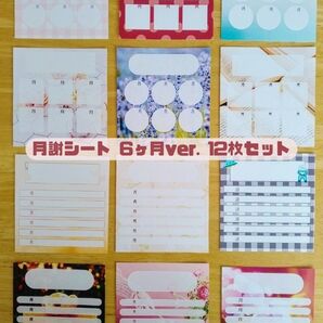 月謝シート 6ヶ月ver. 12枚セット(色々な柄のミックス)