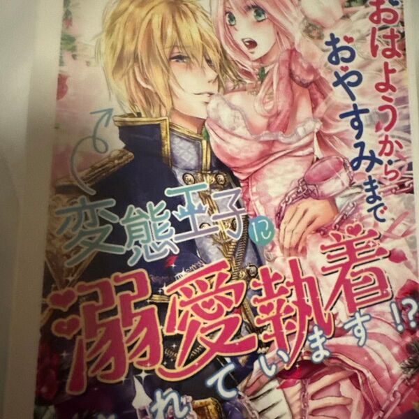 おはようからおやすみまで、変態王子に溺愛執着されています!?