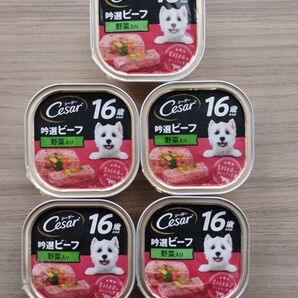 推し活グッズの切り抜き、Cesar ウエットドッグフード 吟選ビーフ野菜入り 5個