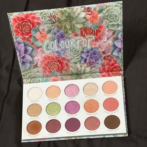 ColourPop Garden Variety アイシャドウパレット