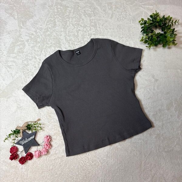 極美品 【ユニクロ】《M》 リブニットクロップドTシャツ 半袖 チャコールグレー 無地