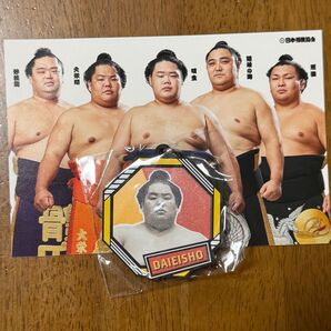 大相撲 ラバーキーホルダー 大栄翔