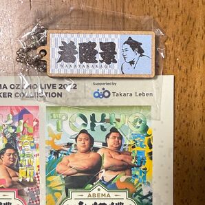 大相撲 応援タオル風ウッドキーホルダー 若隆景