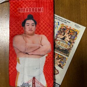 大相撲 ペットボトルカバー 平戸海