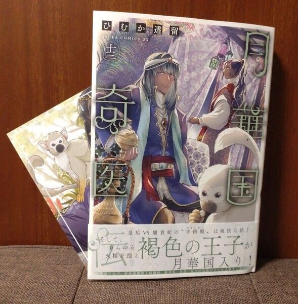 月華国奇医伝 第十三巻