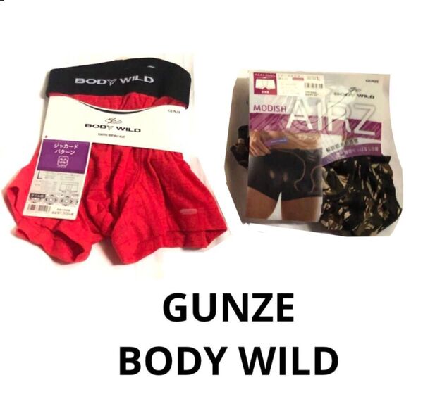 【2枚セット】gunze グンゼ body wild ボディワイルド L