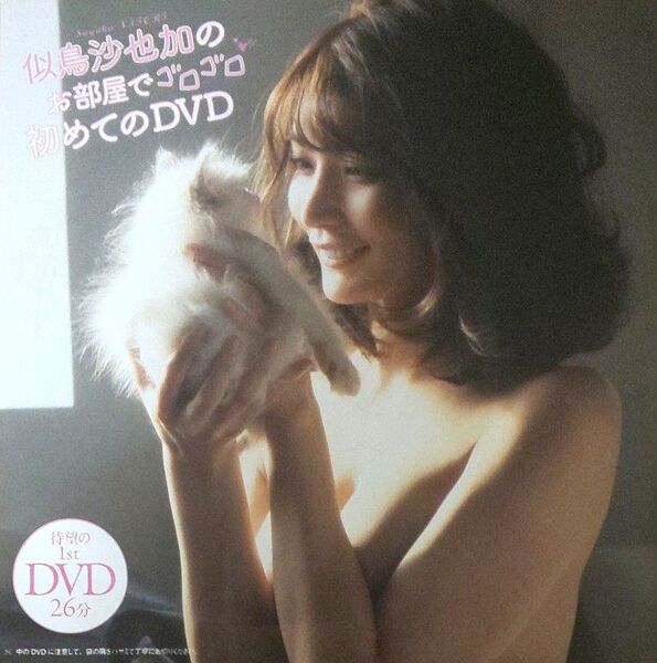 DVD 似鳥沙也加 週刊プレイボーイ付録 未開封