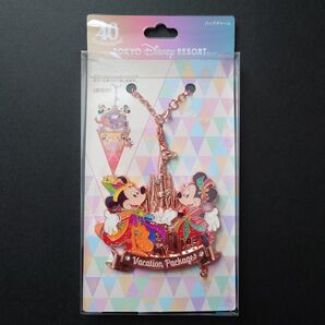 ディズニー バケーションパッケージ