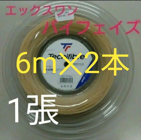 「テクニファイバー エックスワンバイフェイズ」です。太さ1.24mm ※※6m以上の2本セット!!