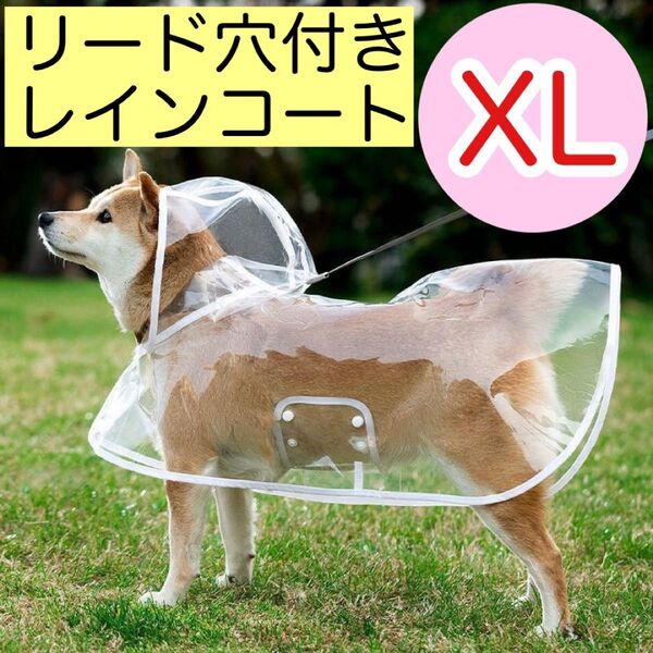 【週末セール】 犬用レインコート XL リード穴付き 犬 お散歩 お出かけ ペット リード レインコート 人気 かわいい