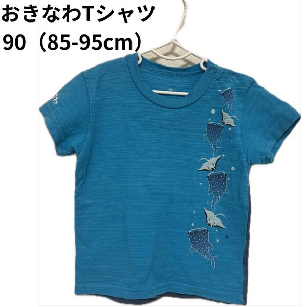 【90cm】おきなわTシャツ キッズ服 ベビー服 ジンベイザメ お土産 半袖 半袖Tシャツ Tシャツ トップス カットソー 可愛い