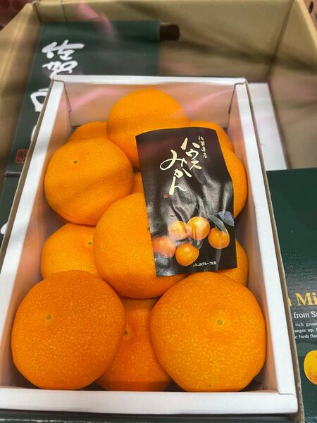 佐賀産ハウスみかん12玉贈答用