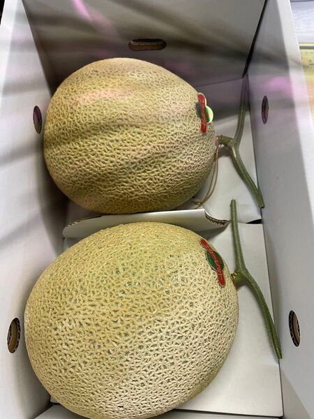 愛知産スカーレットメロン(赤肉)2玉箱 贈答用 4キロ