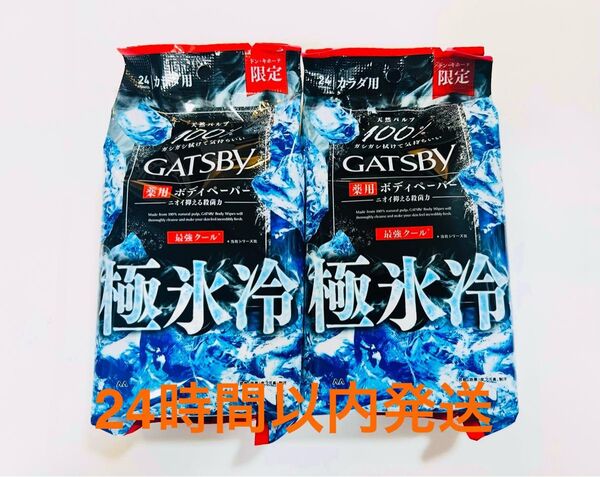 限定 ギャツビー 氷冷 極氷冷 ボディペーパー 2個 ボディシート 最強クール