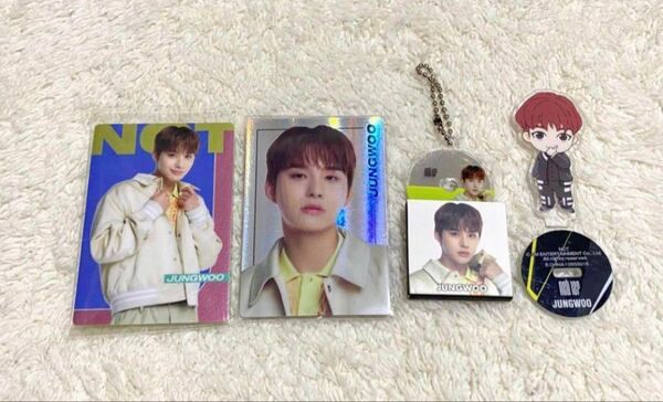 NCT ジョンウ トレカ ミニアクスタ CDキーホルダー NCT127 イリチル