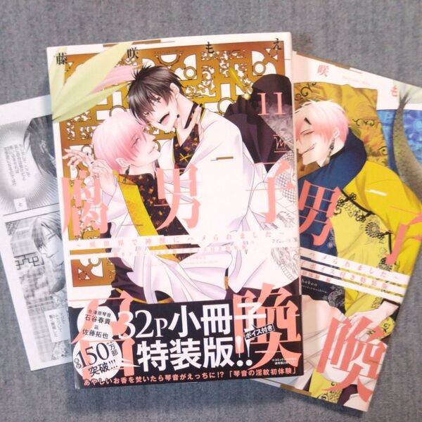 藤咲もえ 腐男子召喚〜異世界で神獣にハメられました〜11 特装版
