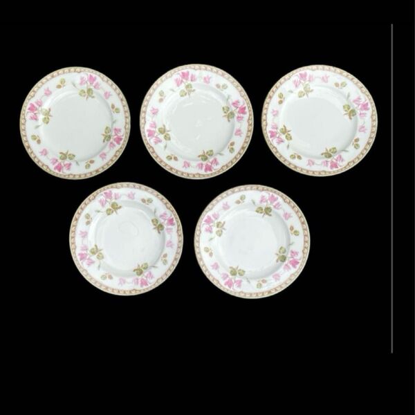 ノリタケ シクラメンタッチ Noritake 金彩21cmプレート5枚