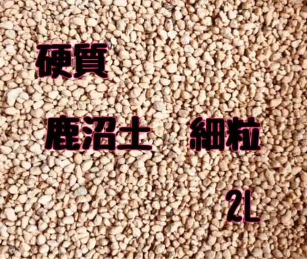 【硬質】 鹿沼土 細粒 2L 多肉植物 寄せ植え サボテン 観葉植物