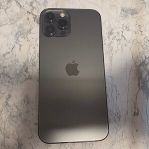 たまちゃん様専用 iPhone 12 Pro Max 256GB SIMフリー