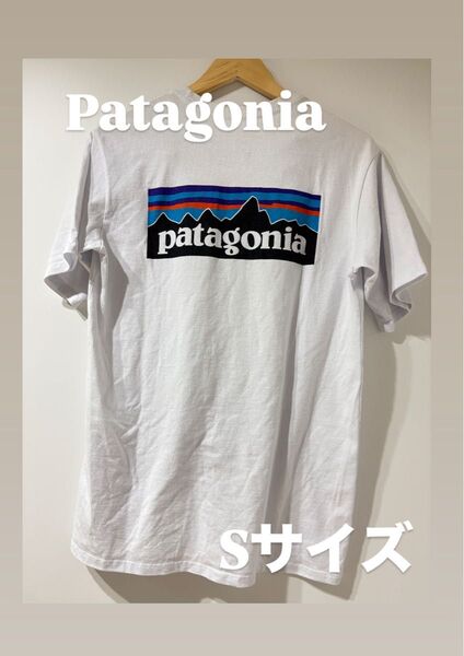 patagonia ホワイト Tシャツ Sサイズ ポケット付き IT08