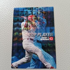 プロ野球チップス カルビー 2007 広島東洋カープ 前田智徳 トッププレイヤー