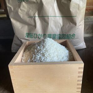 令和6年度産 茨城のコシヒカリ 白米 お試し2kg 単一銘柄米 迅速に発送手配致します