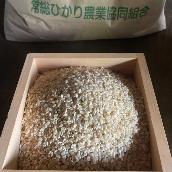 令和6年度産 茨城のコシヒカリ 玄米10kg 単一銘柄米 送料無料 迅速に発送手配します