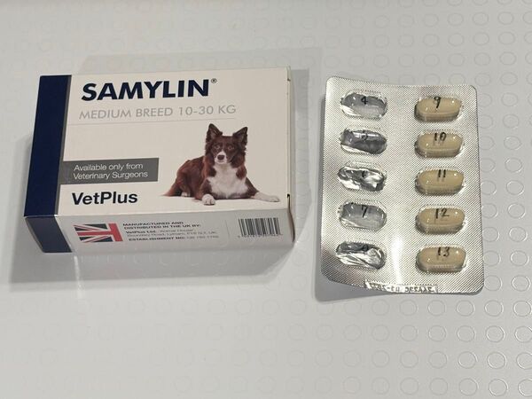 SAMYLIN 中型犬用サプリメント 35錠