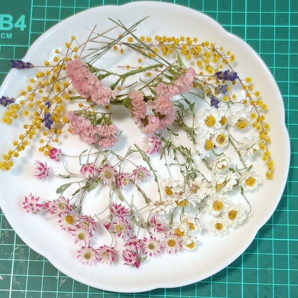 ドライフラワーヘッドシンカルファ20花かんざし20